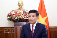 El viceministro de Relaciones Exteriores, Nguyen Manh Cuong, en una entrevista concedida a la Agencia Vietnamita de Noticias. (Foto: VNA)