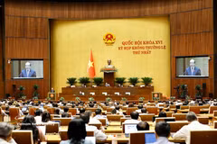 Parlamento de Vietnam incorpora tres contenidos a agenda de su primera reunión extraordinaria (Foto: VNA)