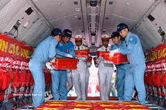 Vuelo especial traslada 7.104 muestras de restos de mártires (Foto: VNA)