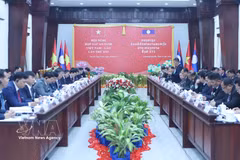 Vietnam y Laos refuerzan la cooperación en materia de seguridad nacional. (Foto: VNA)
