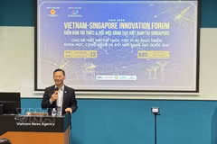 El embajador de Vietnam en Singapur, Tran Phuoc Anh. (Foto: VNA)