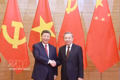 El secretario general del Partido Comunista de Vietnam (PCV) y presidente del país, To Lam, (derecha) y su homólogo chino, Xi Jinping. (Foto: VNA)