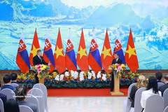 El primer ministro de Vietnam, Le Minh Hung, y su homólogo eslovaco, Robert Fico. (Foto: VNA)