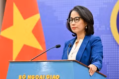 La portavoz del Ministerio de Relaciones Exteriores de Vietnam, Pham Thu Hang. (Foto: Cancillería)