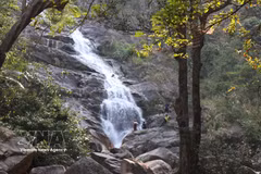 Cascada Lua, joya prístina y majestuosa en provincia de Quang Ngai