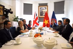 Panorama de la reunión. (Fuente: VNA)