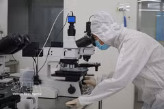 El laboratorio de tecnología de semiconductores del Centro de Investigación y Desarrollo del Parque de Alta Tecnología de Ciudad Ho Chi Minh cuenta con instalaciones modernas. (Foto: VNA)