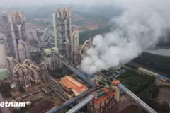 La adaptación climática es clave para reducir los riesgos que las crisis climáticas suponen para la agricultura, las empresas y la infraestructura de producción en Vietnam. (Foto: VNA)