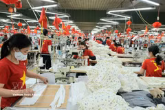 Trabajadores en una empresa textil y de confección. (Foto: VNA)