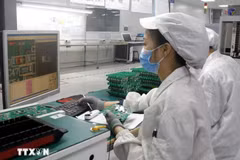 Trabajadores de la industria de semiconductores. (Fuente: VNA)