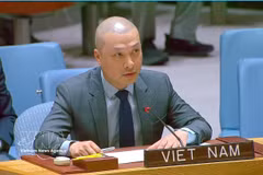 El ministro consejero Nguyen Hoang Nguyen, representante permanente adjunto de Vietnam ante la Organización de las Naciones Unidas. (Fuente: VNA)