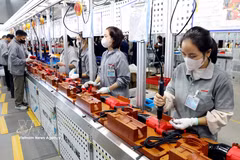 Trabajadores fabrican herramientas eléctricas manuales en la compañía Keystone Electrical Vietnam (Parque Industrial Lien Ha Thai), en la comuna de Thai Thuy, provincia de Hung Yen. (Fuente: VNA)