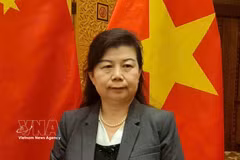 Liu Ying, investigadora del Instituto de Estudios Financieros de Chongyang de la Universidad Renmin de China. (Fuente: VNA)