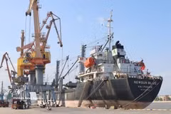 Carga y descarga de mercancías en el puerto de Hoang Dieu Chua Ve. (Foto: VNA)