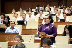 Nguyen Thi Suu, diputada de la ciudad de Hue, interviene en una sesión de debate durante la primera reunión extraordinaria de la Asamblea Nacional de Vietnam de la XVI Legislatura. (Fuente: VNA)