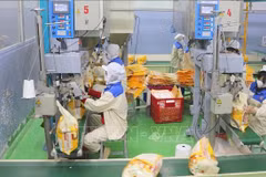 Envasado de arroz para exportación en la fábrica de Thao Son, filial del grupo Loc Troi. (Fuente: VNA)
