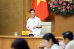 El viceprimer ministro vietnamita Ho Duc Phoc habla en el evento. (Fuente: VNA)