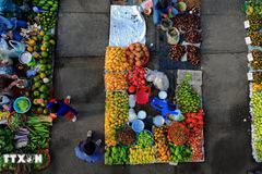 Mercado “chom hom” refleja la vida rural del Delta del Mekong