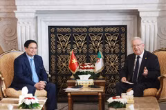 El primer ministro vietnamita, Pham Minh Chinh, se reúne con el presidente del Consejo de la Nación (Senado) de Argelia, Azzouz NASRI. (Fuente: VNA)