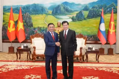 El miembro del Buró Político y miembro permanente del Secretariado del Comité Central del Partido Comunista de Vietnam (PCV), Tran Cam Tu, (izquierda) y el secretario general del PPRL y presidente de Laos, Thongloun Sisoulith. (Fuente: VNA)