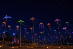 Casi 500 cometas iluminadas se exhibirán en la playa de My Khe las noches de 24, 25 y 26 de julio. (Foto: Danangfantasticity).