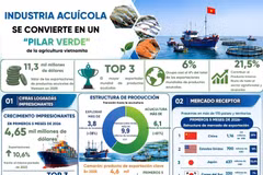 Industria acuícola se convierte en pilar verde de la agricultura vietnamita