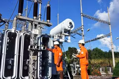 Supervisan la operación de obras de electricidad de 110 kV en provincias en Tay Nguyen (Altiplanicie Occidental). (Fuente: VNA)