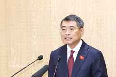 El primer ministro vietnamita, Le Minh Hung. (Fuente: VNA)