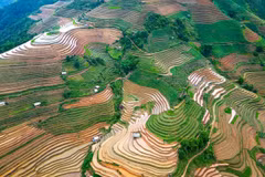 Mu Cang Chai ofrece paisajes únicos durante la temporada de riego 