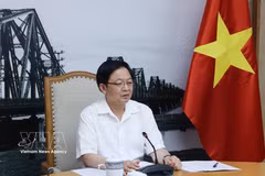 El viceprimer ministro vietnamita Ho Quoc Dung en el evento. (Fuente: VNA)