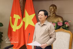 El viceprimer ministro Ho Quoc Dung habla en el evento. (Fuente: VNA)