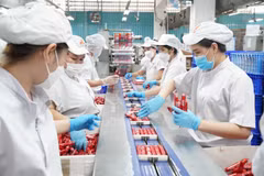 Línea de envasado de productos en la empresa ecológica Vissan. (Fuente: Internet)