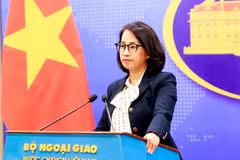 La portavoz del Ministerio de Relaciones Exteriores, Pham Thu Hang. (Fuente: VNA)