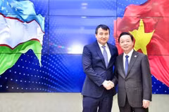 El viceprimer ministro vietnamita Tran Hong Ha sostuvo conversaciones con su homólogo uzbeko Jamshid Khodjaev. (Fuente: VNA)