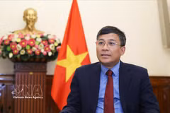 El viceministro permanente de Relaciones Exteriores, Nguyen Minh Vu. (Fuente: VNA)