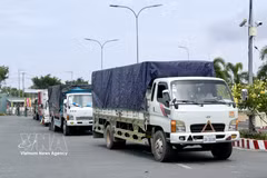 Camiones de carga buscan completar los trámites de importación en el paso fronterizo terrestre internacional de Khanh Binh. (Foto: VNA)