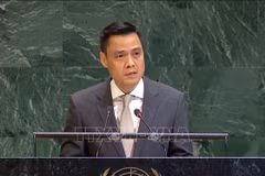 El embajador Dang Hoang Giang, jefe de la misión permanente de Vietnam ante la Organización de las Naciones Unidas. (Fuente: VNA)