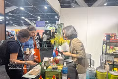 Visitantes en el pabellón vietnamita. (Fuente: VNA)