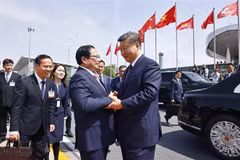 El primer ministro vietnamita, Pham Minh Chinh, despidió en el Aeropuerto Internacional de Noi Bai al secretario general del Partido Comunista y presidente de China, Xi Jinping. (Fuente: VNA)