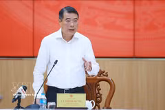 El primer ministro de Vietnam, Le Minh Hung, habla en el evento. (Fuente: VNA)