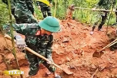 Los restos fueron encontrados en la zona forestal de melaleuca perteneciente a una familia en la aldea de Trai Ca, comuna de Dakrong, provincia de Quang Tri. (Fuente: VNA)