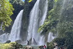 La belleza de la cascada Ban Gioc en la provincia norvietnamita de Cao Bang. (Fuente:VNA)