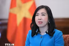La vicecanciller vietnamita Le Thi Thu Hang. (Fuente: VNA)