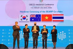 Vietnam asumió la copresidencia del Programa del Sudeste Asiático de la OCDE para el período 2022-2025. (Foto: VNA)