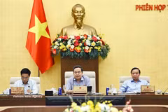 El presidente de la Asamblea Nacional de Vietnam, Tran Thanh Man, preside la reunión. (Fuente: VNA)
