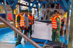 Los guardias fronterizos de la provincia de Dong Thap realizan inspecciones y verificaciones de los buques pesqueros antes de que zarpen. (Fuente: VNA)