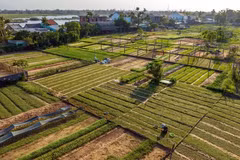 Turistas internacionales experimentan la vida rural en aldea de Vietnam 