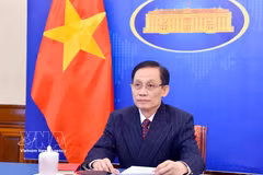 El ministro de Relaciones Exteriores, Le Hoai Trung. (Fuente: VNA)