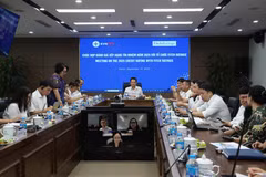 Nguyen Duc Thien, director general de EVNNPC, en la reunión. (Foto: https://npc.com.vn/)