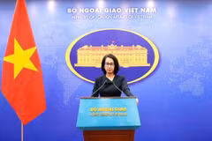 La portavoz del Ministerio de Relaciones Exteriores, Pham Thu Hang. (Fuente: VN)